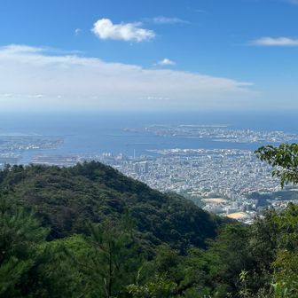 曇り予報だったけど、晴れてちょっと蒸し暑い