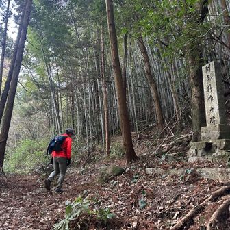 改めて、がんばるぞー🫵