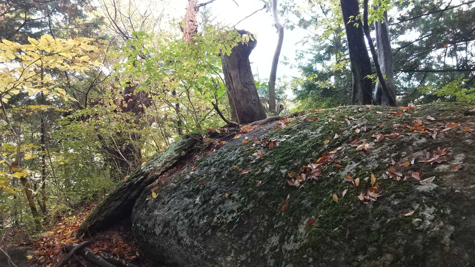 すべらかな岩