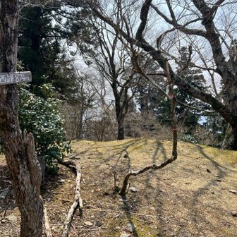 そして、西峰山頂にもとりあえずタッチ｡