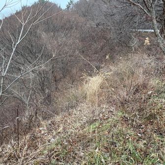 道路脇の東屋の奥に、さっきのロープが
続いてきているのを確認
薮で、ロープは所々切れている