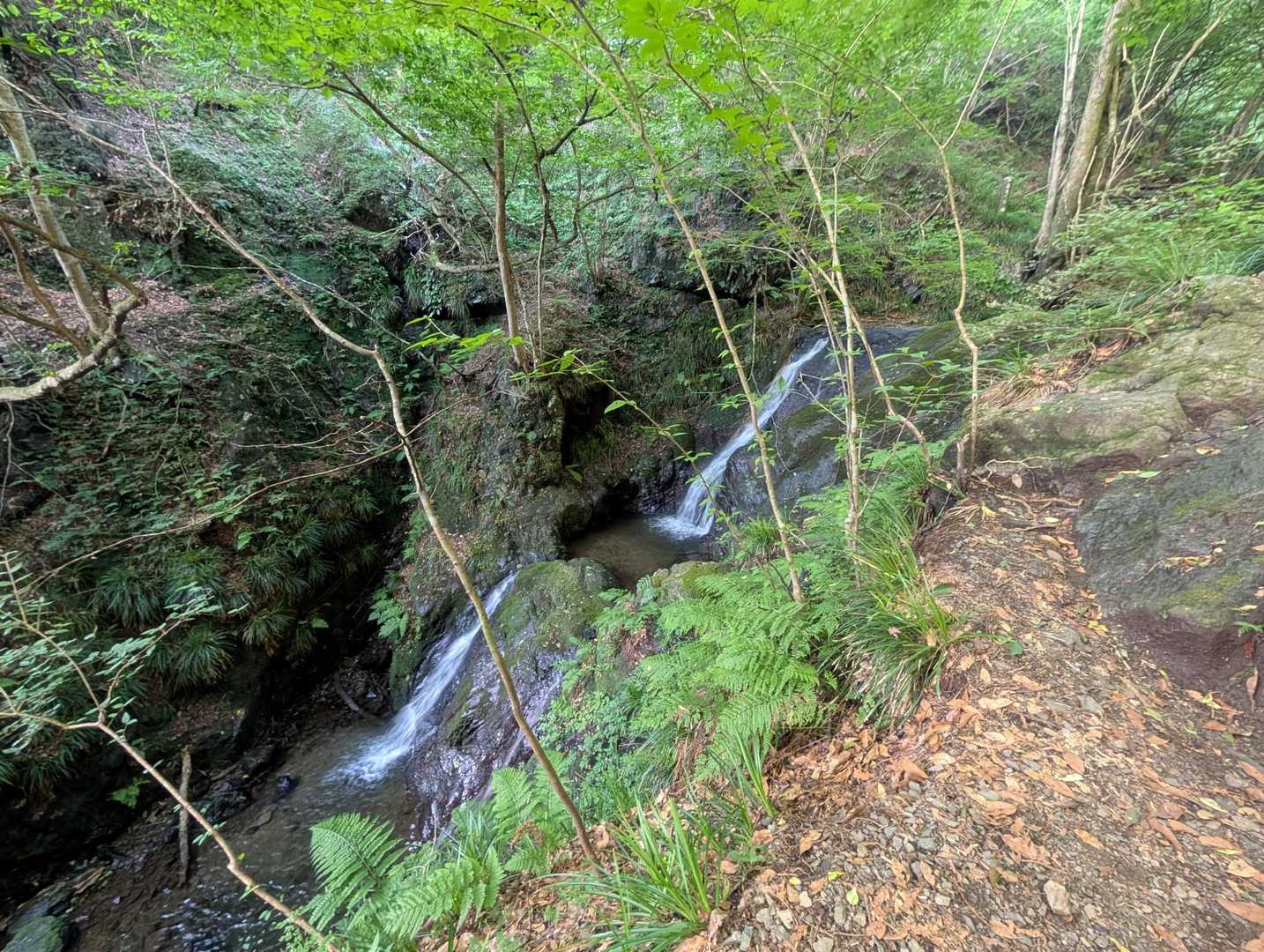 水量少なめ