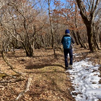 日が差しが暖かい😊