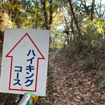 抜けたら明るくなった❗️