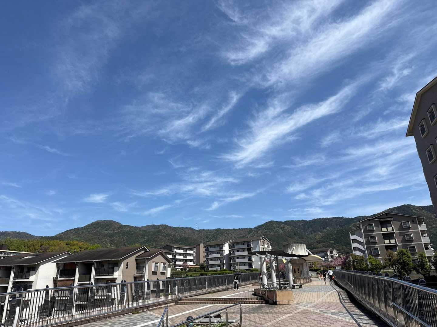 醍醐山-横嶺峠-高塚山 周回コースの写真