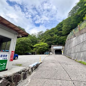 ゴール