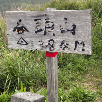 意外と高い