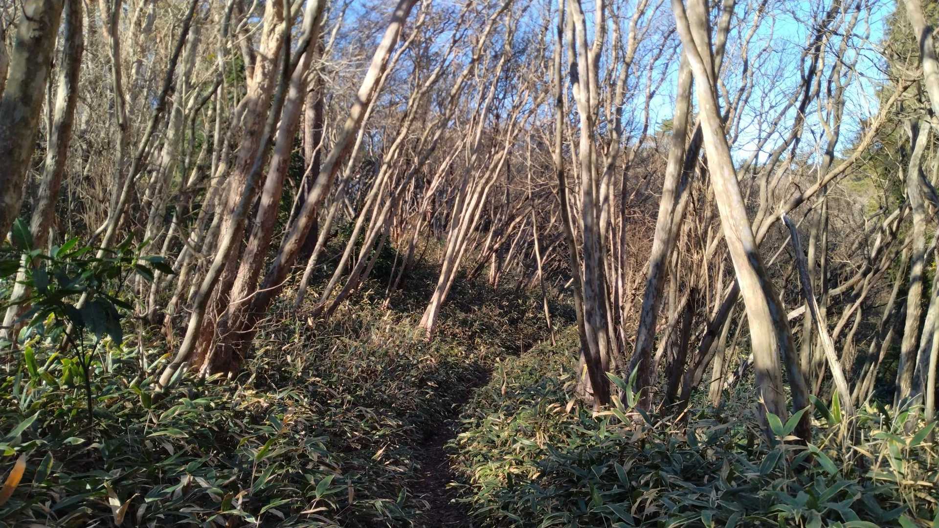 この辺りの感じがいい…