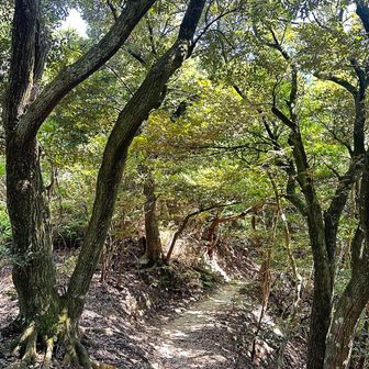 癒されロード