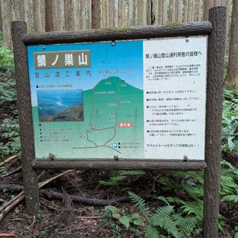 案内板