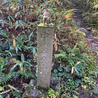 時間があるので今日もこちらで登り返します。