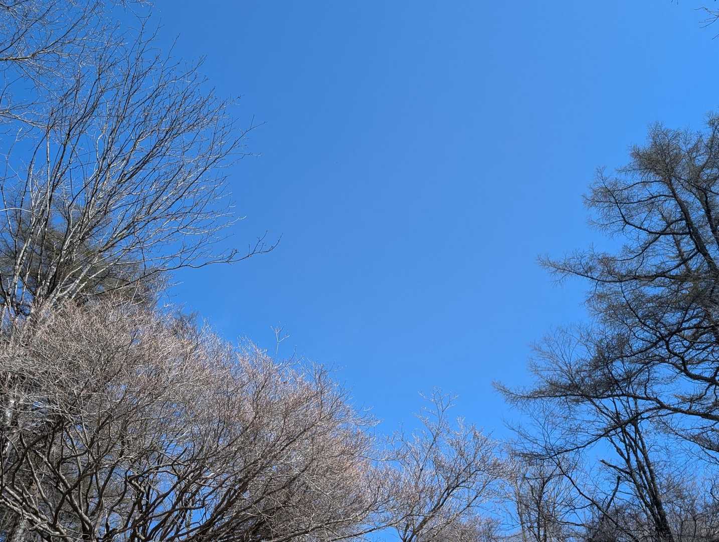 鞍掛山ブルー🩵
