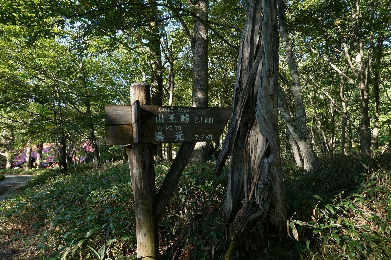 程なく登山口…に至る山道の入り口。