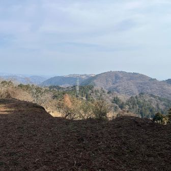 第六天の景色
午後は富士山その他かすんでしまいました