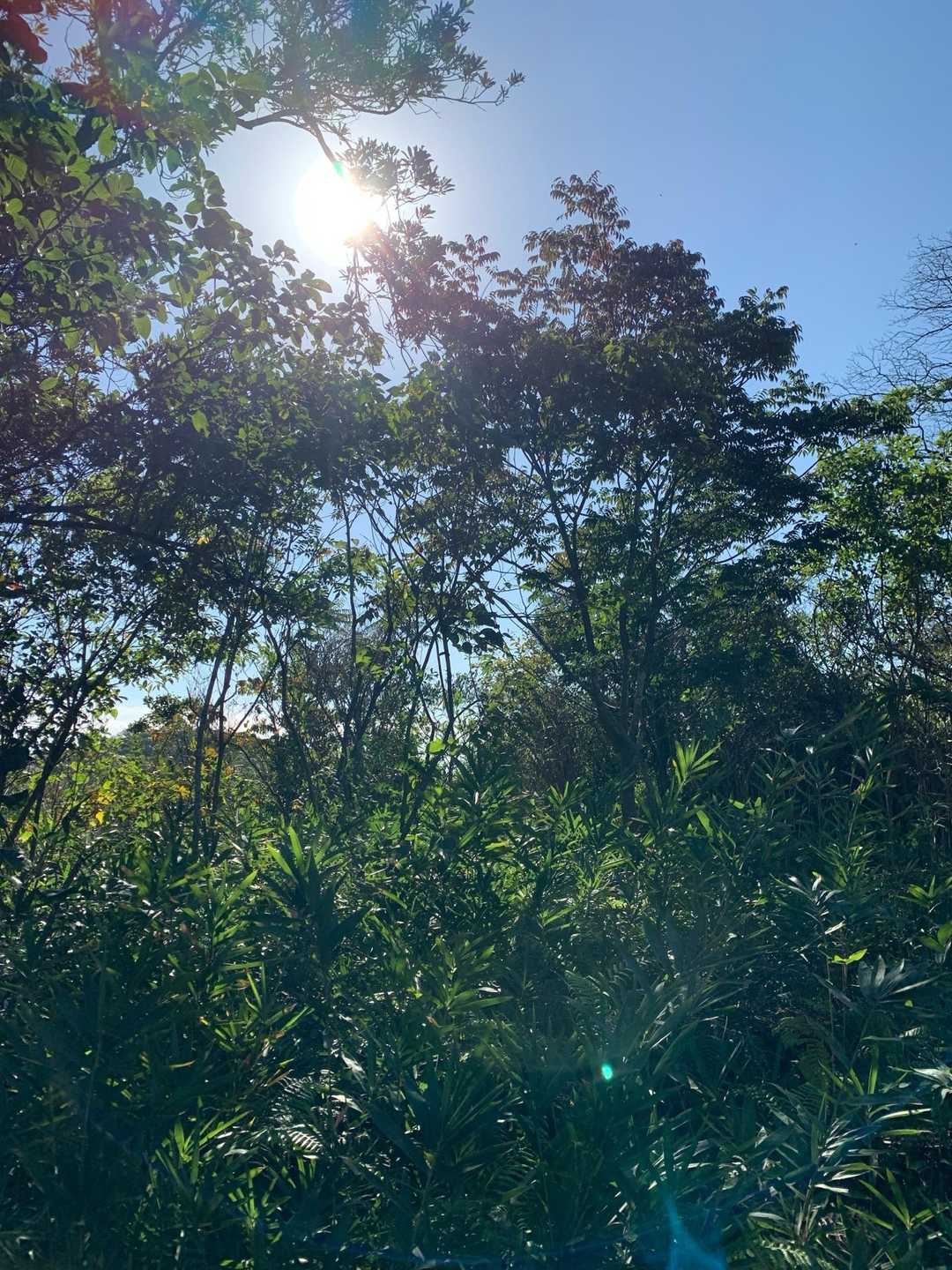 いい天気☀️