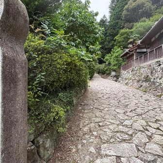 歴史の道を歩く