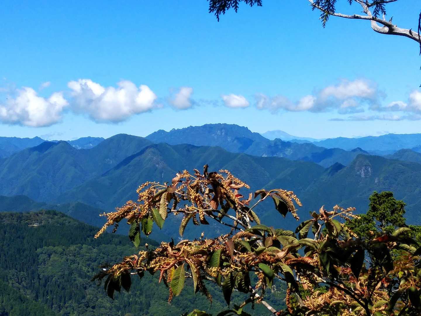 両神山の右奥に見えるのは、蓼科山かなぁ～

浅間山でした。ご指摘ありがとうございます