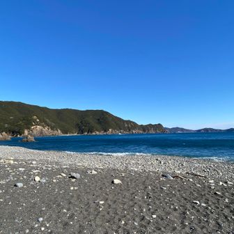 どのサミットもシダ地獄だけど、過酷すぎて写真なし。そんなシダの先から、昨日馬山で会ったお兄さん2人組と再会！無人島で知ってる人に会った気分でテンション上がる！^ - ^
