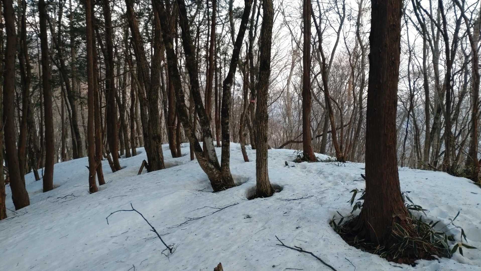 分岐🪧ここからチェーンスパイクで🚶