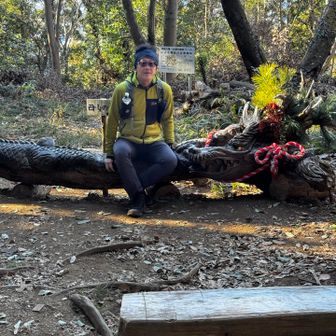 素晴らしいので写真を