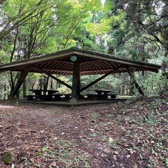 東屋あり、広〜い