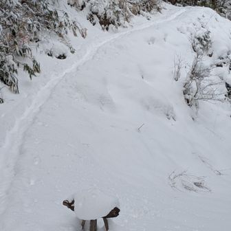 ここから登山口