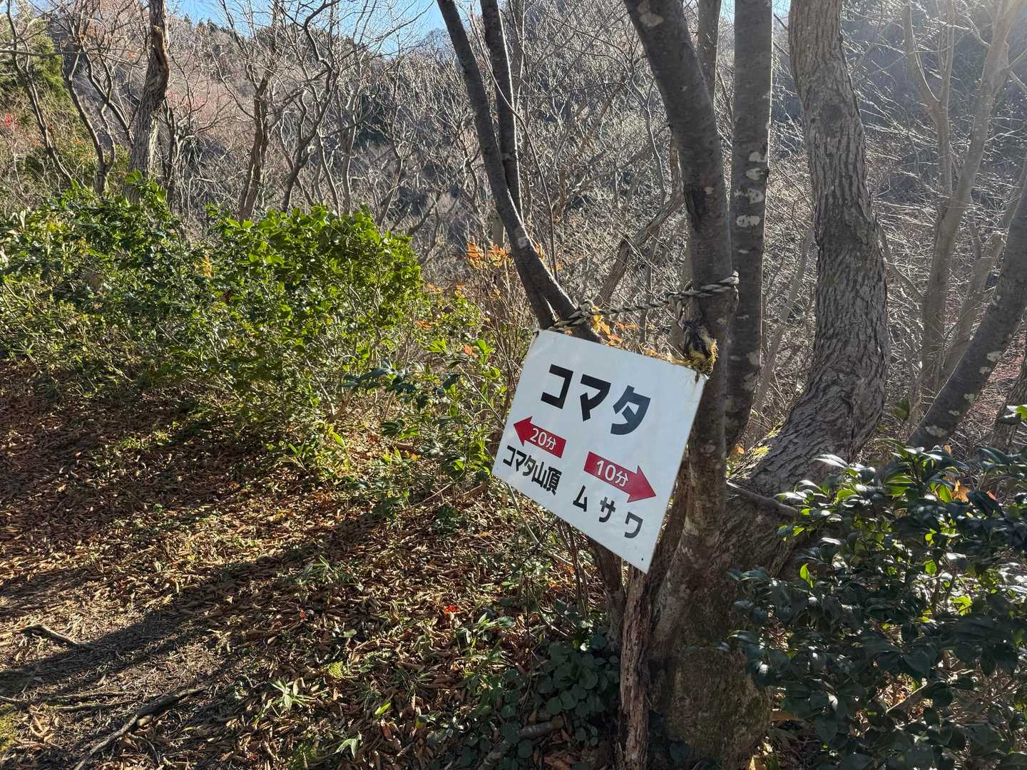 困ったコマタ