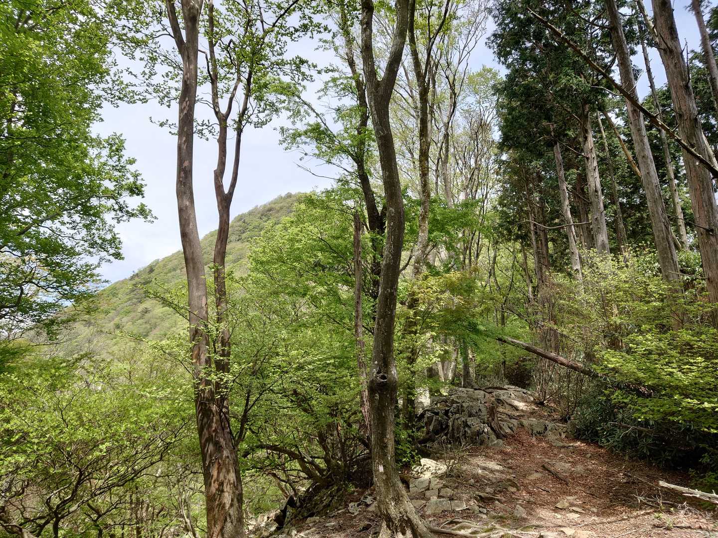 高月山