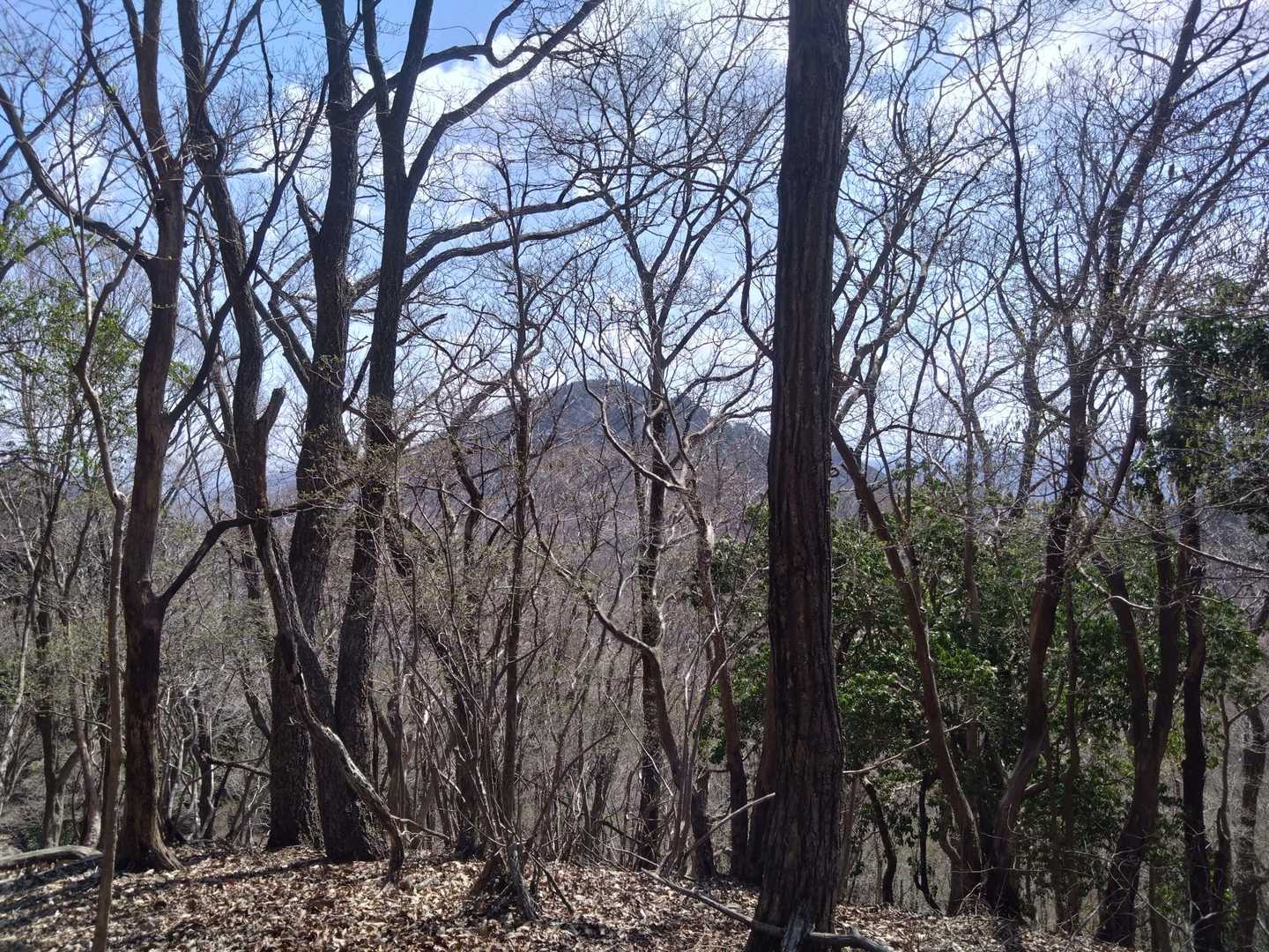 八ヶ尾山あの辺り
