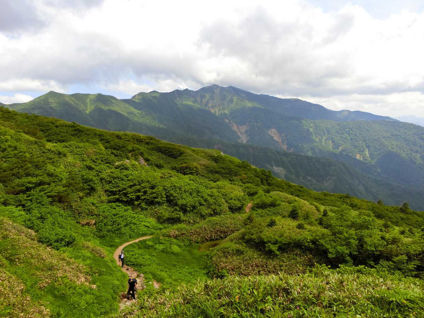 殿ケ池避難小屋から見る別山。見えている道が観光新道。