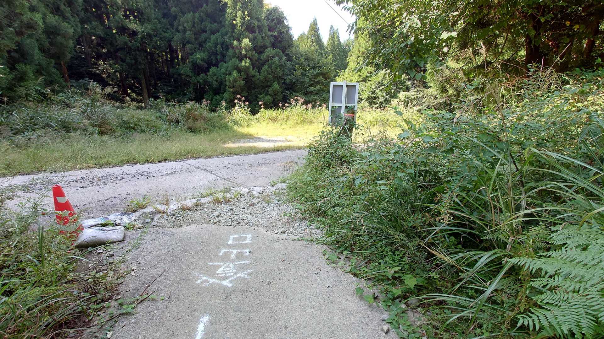戻って来ました