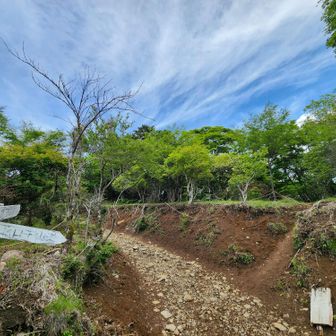 目的のカモメランに逢えたので、北口登山口に戻って来た。
さぁ、下山で滑落とかしないよう、迷わないよう注意して行かなくっちゃ！