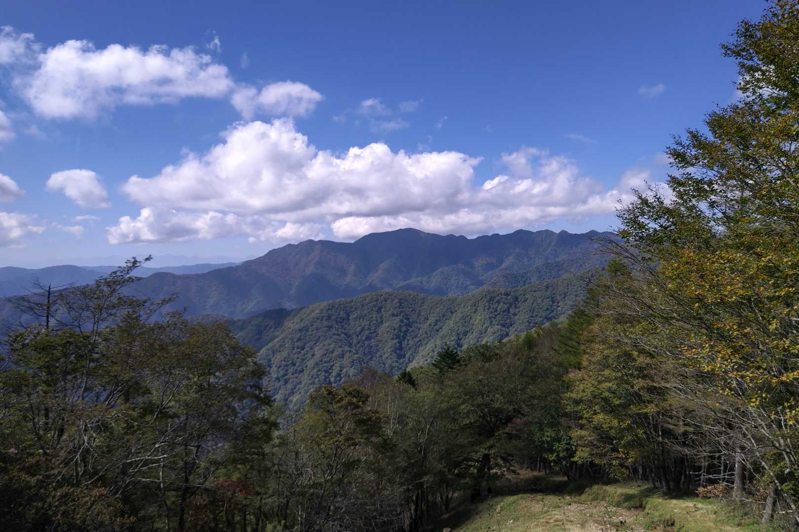 山頂からの景色