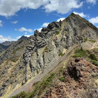 東ギボシ
山姿カッコよき⛰️

頑張って登るよー🧗