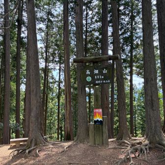 高畑山登頂〜⛰️