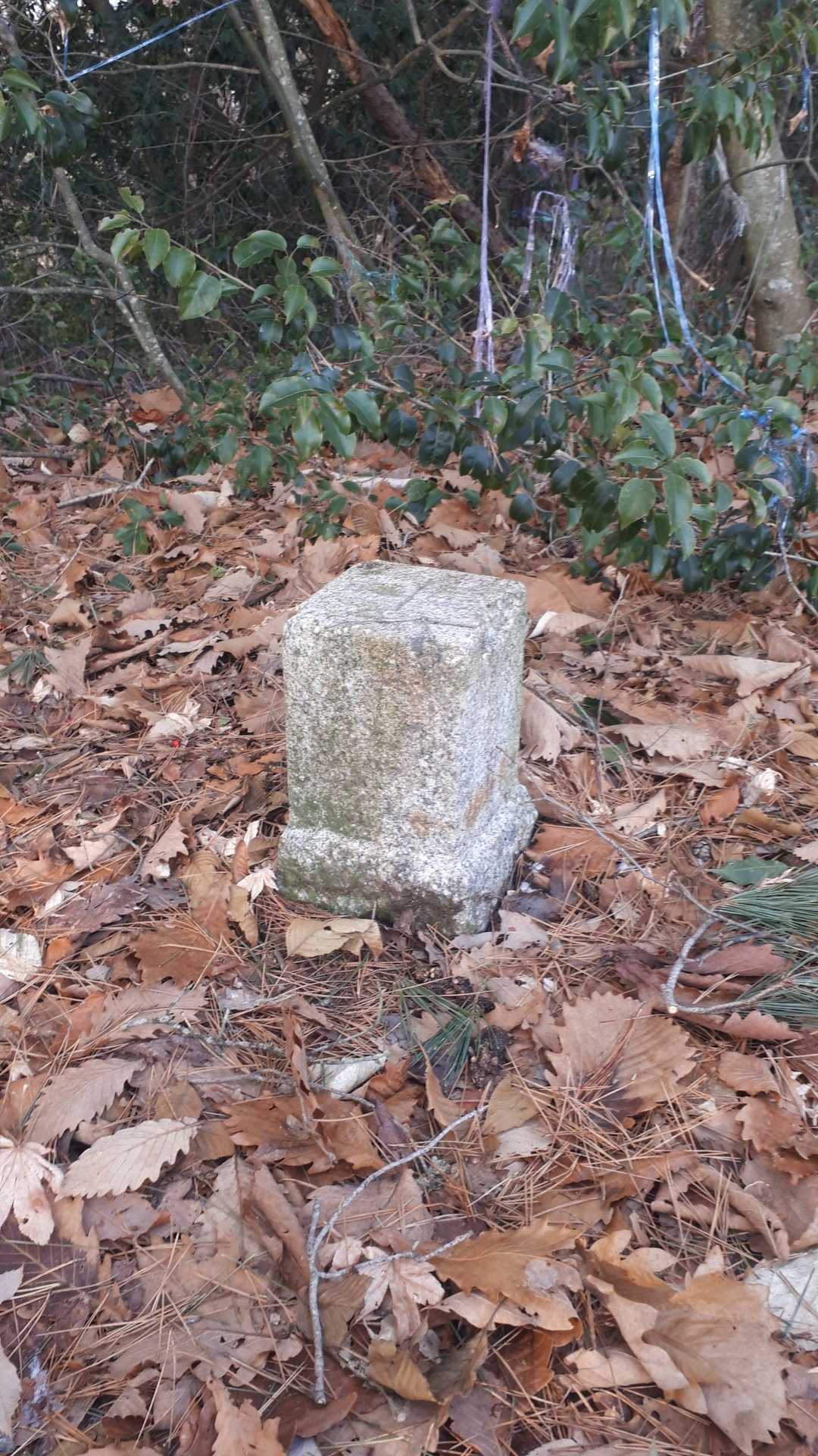 Topstone for Chokojiyama.