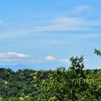 右手に富士山