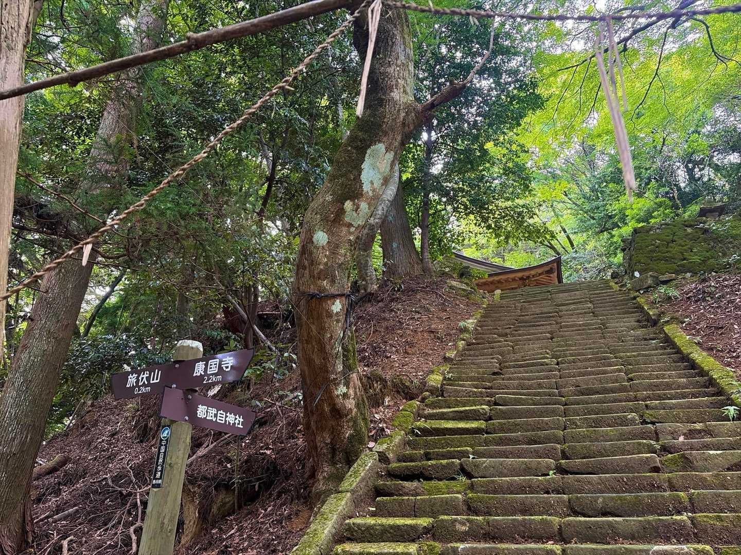 神社⛩️