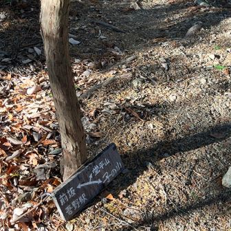 堂平山行ってみよ