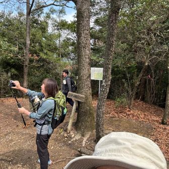 YouTubeも　観てね！