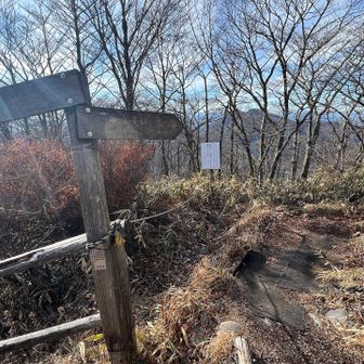 ここから山頂に到着