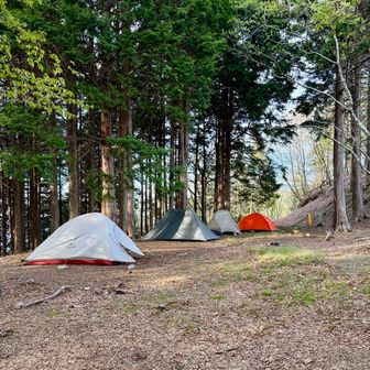 伯母子岳の山小屋の周りのテン場
この日は自分含めて5張も もう少しはれそう
かなり平で寝やすかったし ペグも刺さる土の柔らかさ