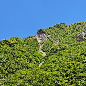 稜線からこのザラ地を滑り走りながら下山する人を見かけました😳
確かに速いけどスゴい！