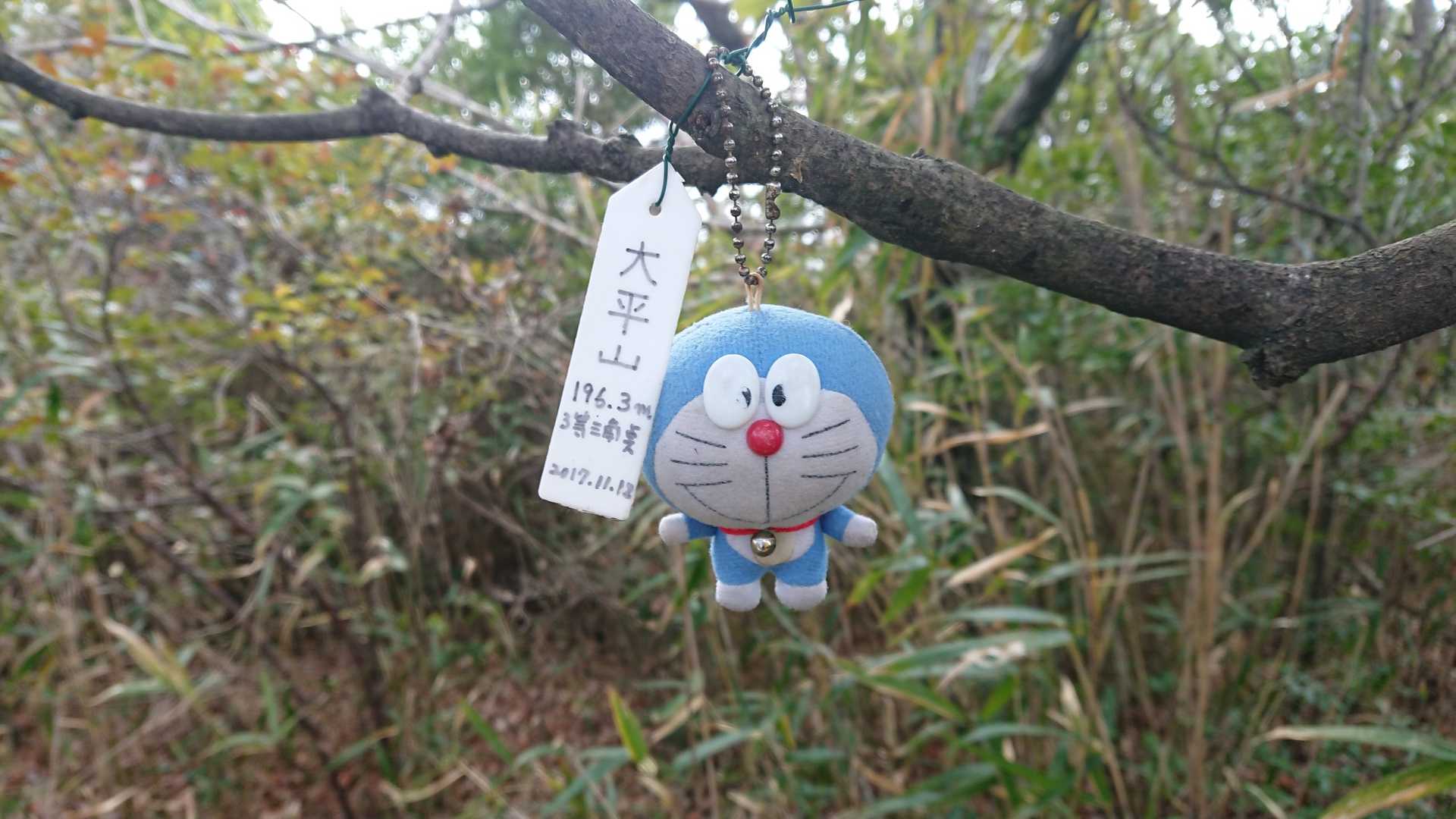 小さなプレート有り