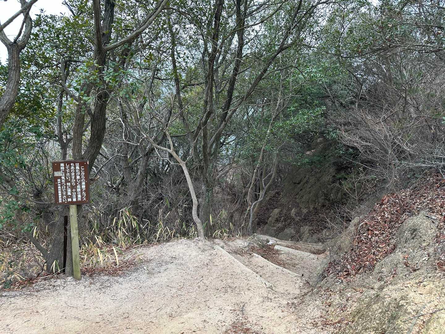 ポッポッと、、降って来たようなので下山へ