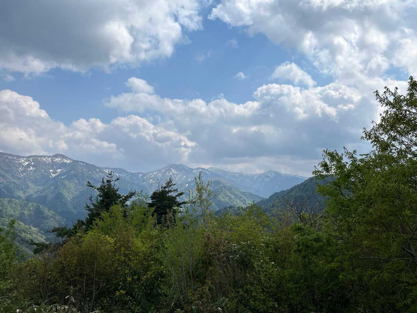 大杉みどりの里バス停-城山-大鶴山-大杉神社 周回コースの写真