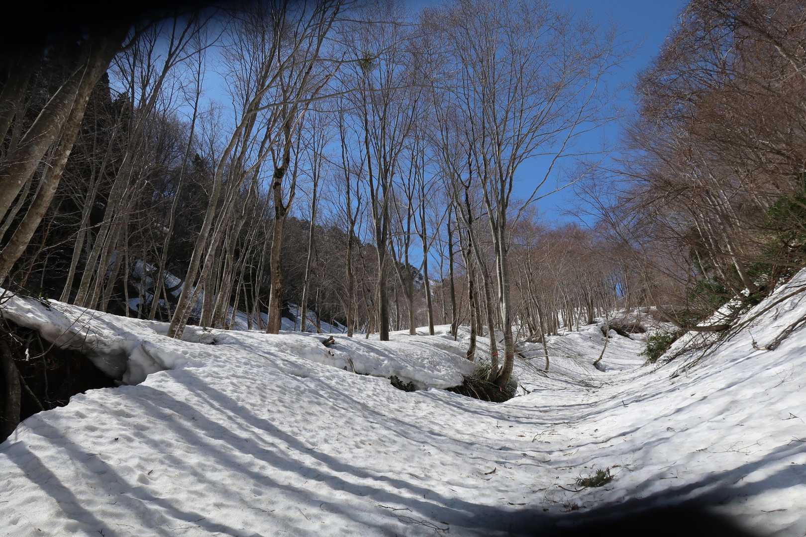 この辺は雪も締まっていて非常に歩き易い