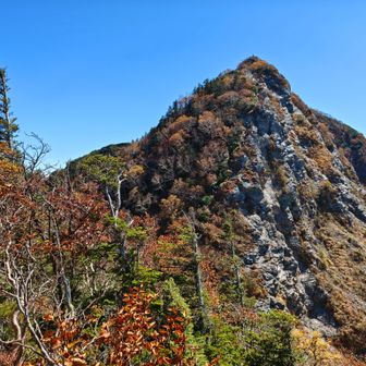 帰路、鋸岳を振り返って