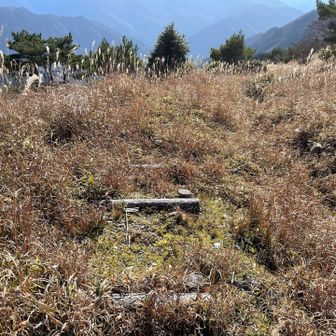 遊歩道の名残の階段が残っていました。この先もっと荒れていて、ヤブ漕ぎ覚悟で進みましたが