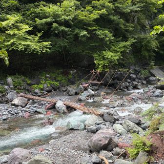 ここまで下りると、雨も収まった。